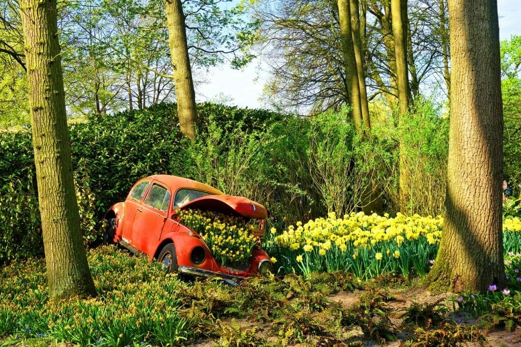 Erkunden Sie Amsterdam zum ersten Mal in Spring Break wie ein Einheimischer