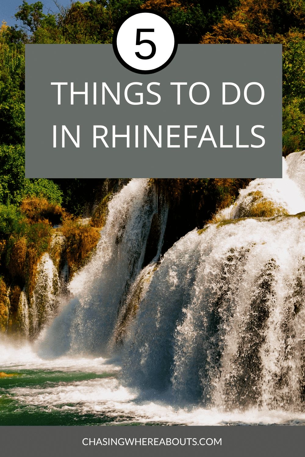 Day trip to Rhine falls | Rhinefalls