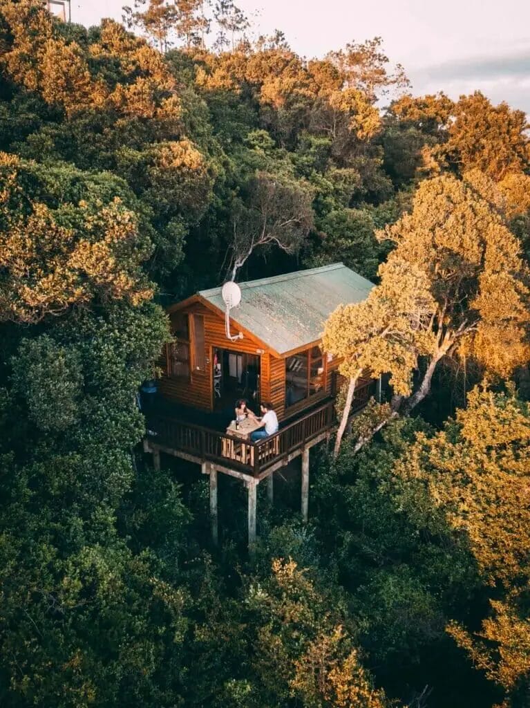 maison en bois marron entourée d'arbres