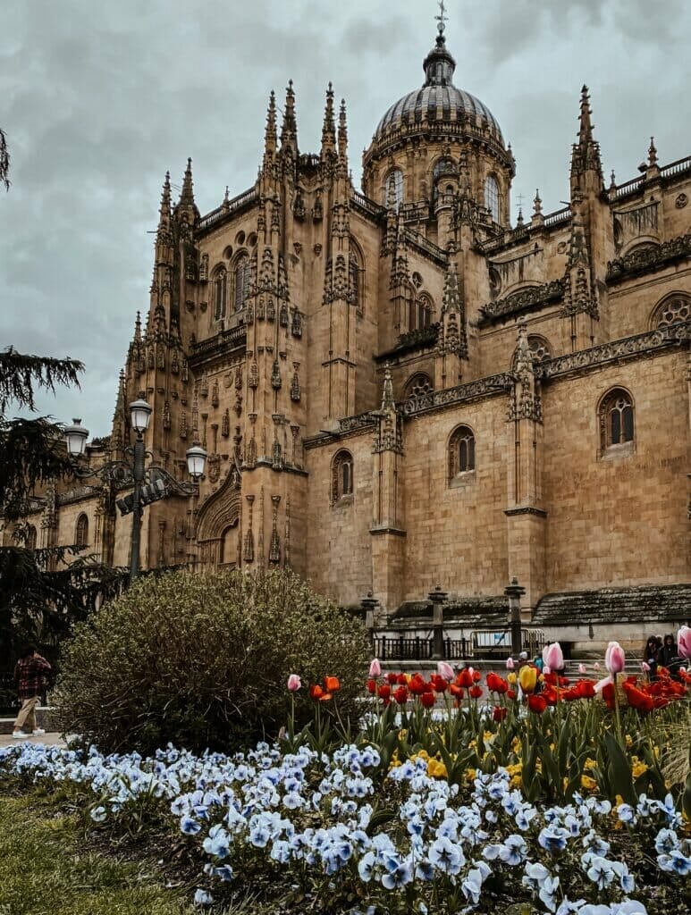 Top things to do in Salamanca Spain 