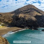 Top 20+ Things to Do in Madeira Portugal