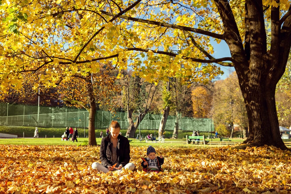 Attraction in Ljubljana: A child is sitting on the ground in a park.