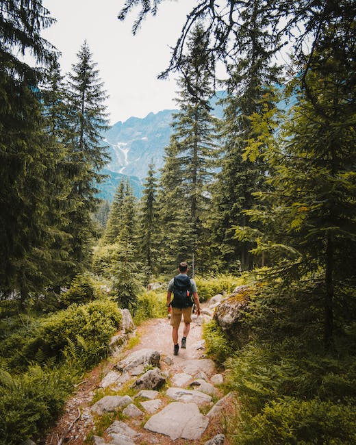 A man walking down a trail in the mountains.