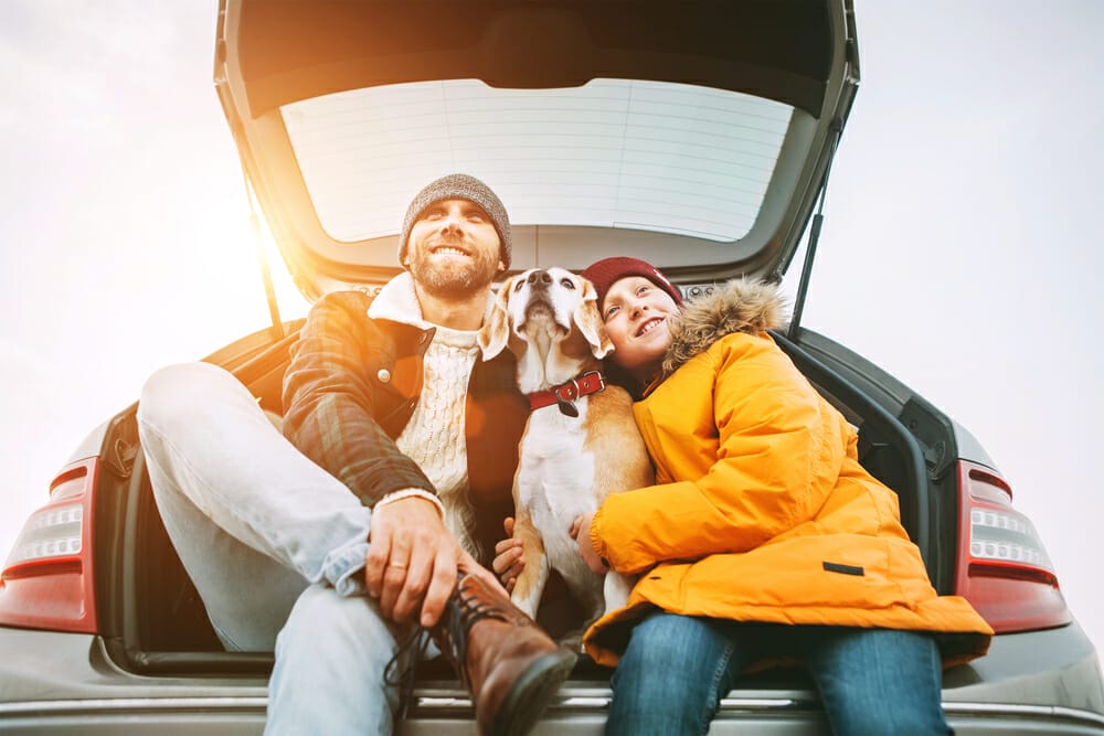 Health Certificate Requirements for Traveling Pets