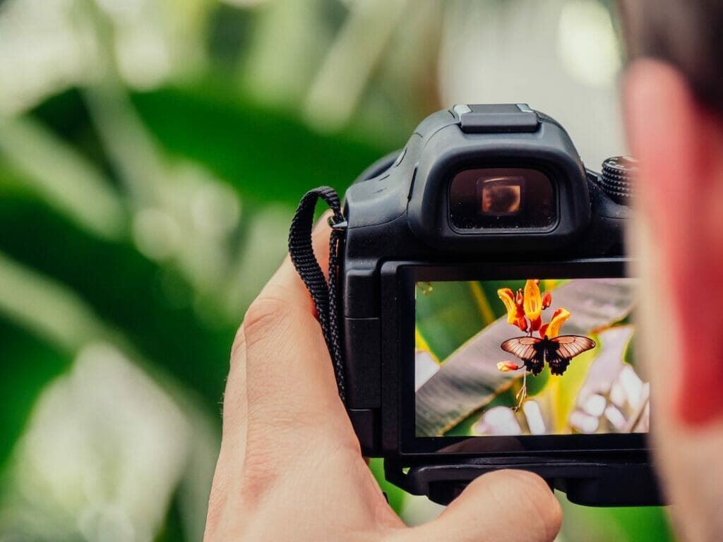 Ein Fotograf fängt eine Blume mit einer Kamera ein.