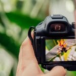 A photographer capturing a flower using a camera.