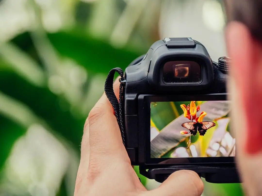 A photographer capturing a flower using a camera.