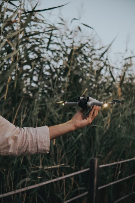 Eine Frau hält eine Drohne vor hohem Gras.