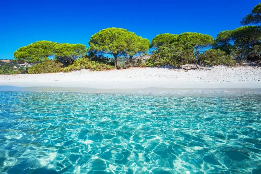 One of the best sandy beaches in Europe, with clear water and trees.