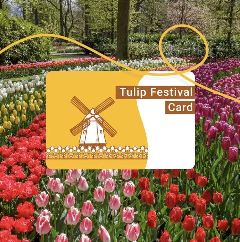 Examen de la carte du Festival des Tulipes : est-ce que ça vaut le coup ?