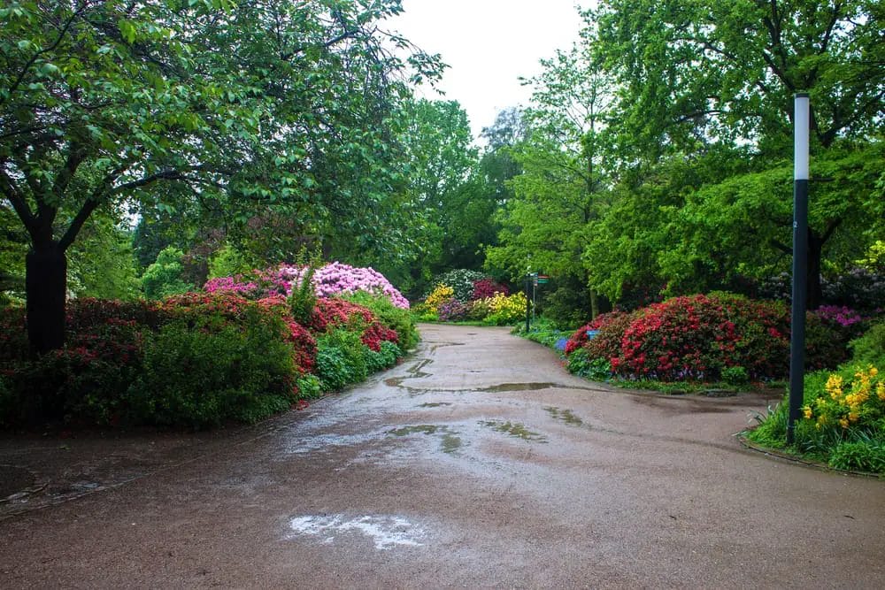 Explore the beautiful fenced park in Hamburg, Germany, with its charming paved path lined with vibrant flowers and majestic trees.