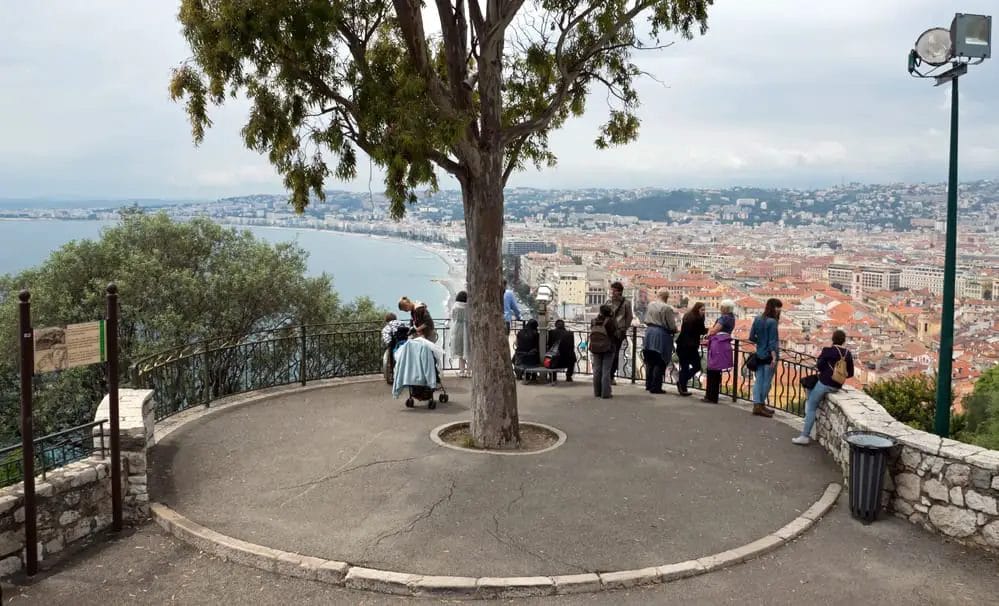 A group of people standing around a tree on a hill overlooking a city.