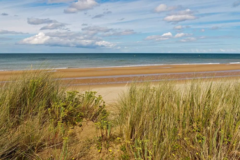 A sandy beach, one of the places to visit in Normandy, with tall grasses and a blue sky.